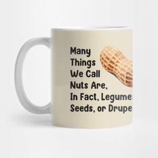 Many Things We Call Nuts Are, In Fact, Legumes Seeds or Drupes! Mug